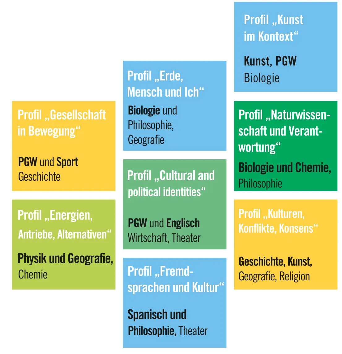 Übersicht der Profile der Oberstufe mit den jeweiligen Fächern